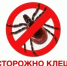 Уважаемые жители Аскинского района! Осторожно: клещи! - Аскинский район